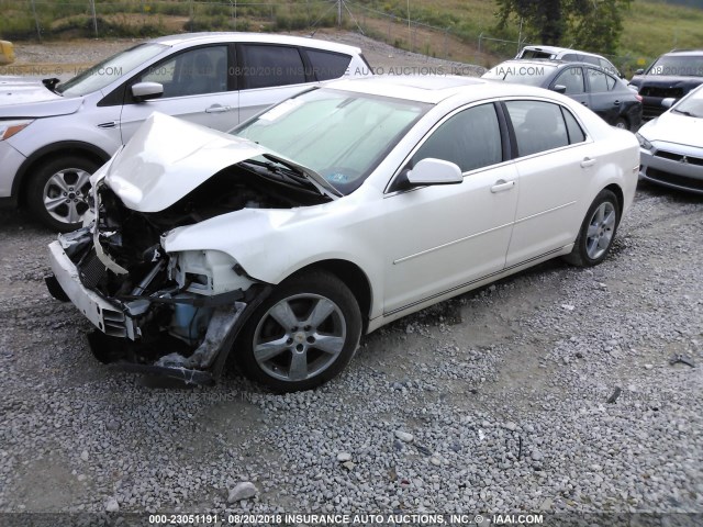 1G1ZC5E14BF343707 - 2011 CHEVROLET MALIBU 1LT თეთრი ფოტო 2