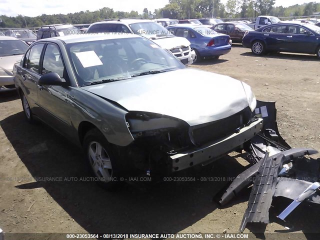 1G1ZT54825F207806 - 2005 CHEVROLET MALIBU LS Бежевый фото 1