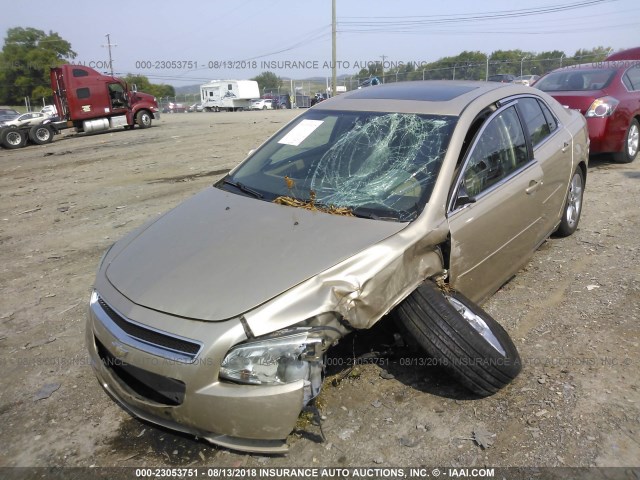 1G1ZH57B48F254414 - 2008 CHEVROLET MALIBU 1LT 金色 照片 2