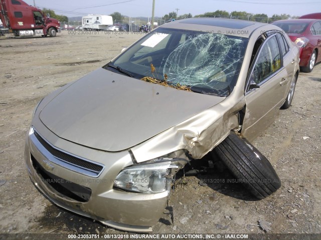 1G1ZH57B48F254414 - 2008 CHEVROLET MALIBU 1LT 金色 照片 6
