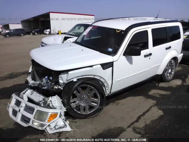 1D4PT4GK7BW549394 - 2011 DODGE NITRO HEAT თეთრი ფოტო 2