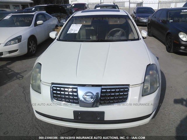 1N4BA41EX6C826925 - 2006 NISSAN MAXIMA SE/SL WHITE photo 6