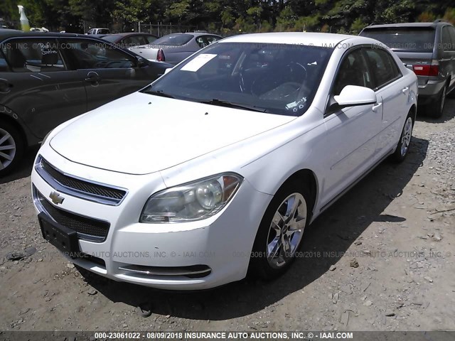 1G1ZC5E09AF188920 - 2010 CHEVROLET MALIBU 1LT თეთრი ფოტო 2