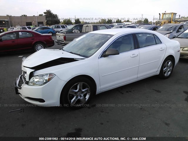 1G1ZA5EU3CF391250 - 2012 CHEVROLET MALIBU LS თეთრი ფოტო 2