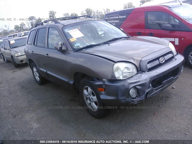 KM8SC13D25U943359 - 2005 HYUNDAI SANTA FE GLS/LX TAN photo 1