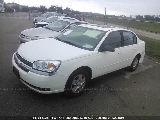 1G1ZT52845F219863 - 2005 CHEVROLET MALIBU LS Ақ фото 2