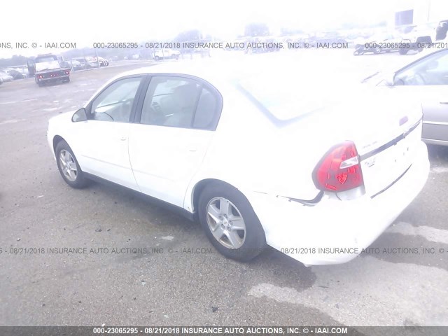 1G1ZT52845F219863 - 2005 CHEVROLET MALIBU LS Ақ фото 3