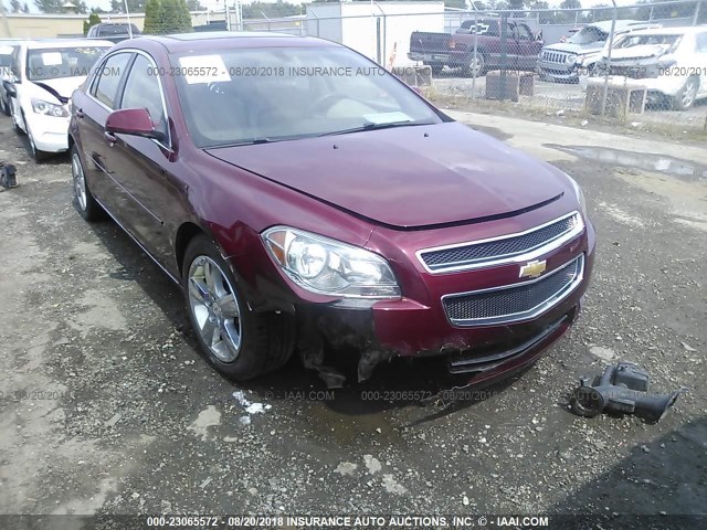 1G1ZC5E16BF231491 - 2011 CHEVROLET MALIBU 1LT RED photo 6