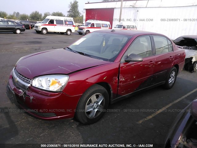 1G1ZT54865F301459 - 2005 CHEVROLET MALIBU LS RED photo 2
