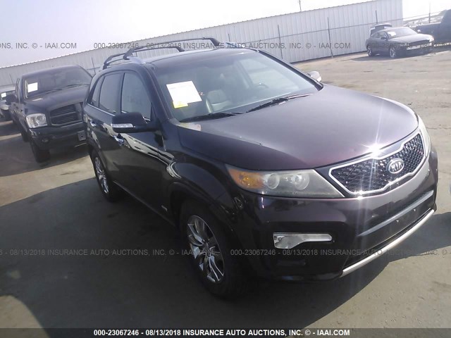 5XYKWDA24CG209514 - 2012 KIA SORENTO SX PURPLE photo 1