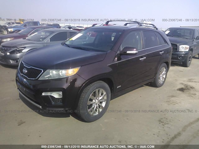 5XYKWDA24CG209514 - 2012 KIA SORENTO SX PURPLE photo 2