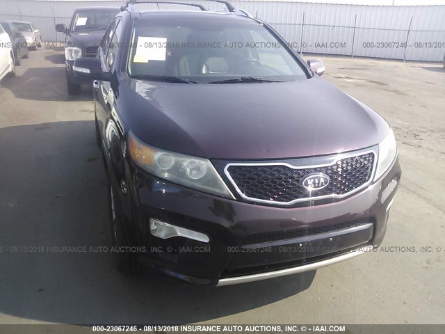 5XYKWDA24CG209514 - 2012 KIA SORENTO SX PURPLE photo 6