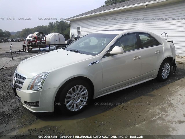 1G6DG5EY2B0161111 - 2011 CADILLAC CTS LUXURY COLLECTION BEIGE photo 2