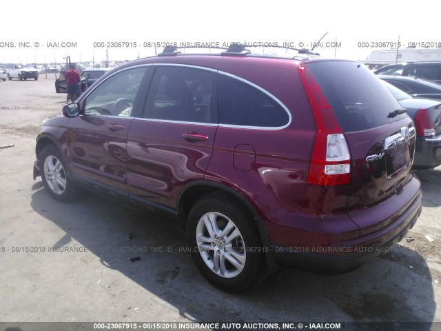 5J6RE3H71AL021526 - 2010 HONDA CR-V EXL MAROON photo 3