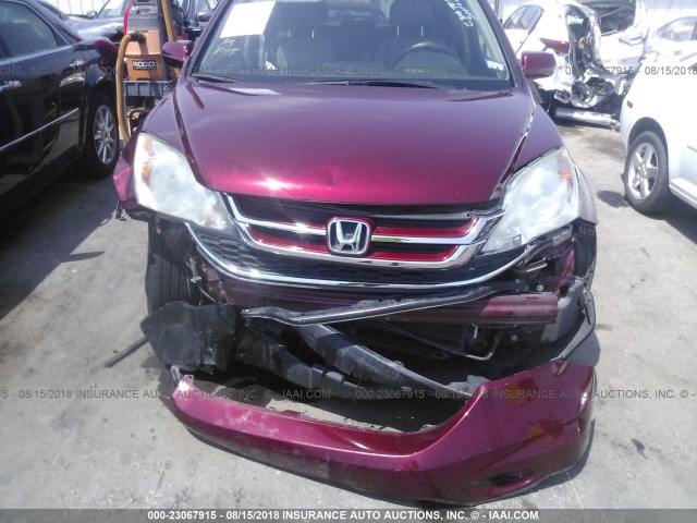 5J6RE3H71AL021526 - 2010 HONDA CR-V EXL MAROON photo 6