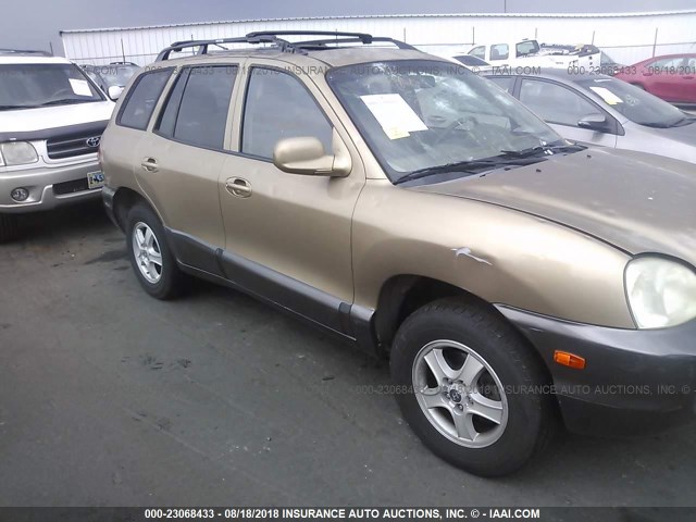 KM8SC73D84U760047 - 2004 HYUNDAI SANTA FE GLS/LX GOLD photo 6