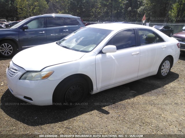 4T1BE46K59U806556 - 2009 TOYOTA CAMRY SE/LE/XLE თეთრი ფოტო 2