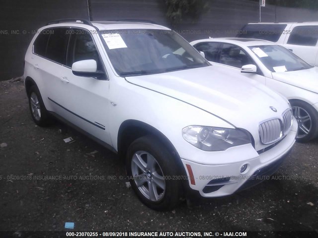 5UXZW0C55D0B95789 - 2013 BMW X5 XDRIVE35D WHITE photo 1