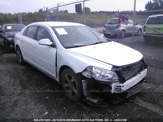 1G1ZC5E12BF188252 - 2011 CHEVROLET MALIBU 1LT WHITE photo 1