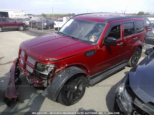 1D4PU4GX8BW501332 - 2011 DODGE NITRO HEAT RED photo 2