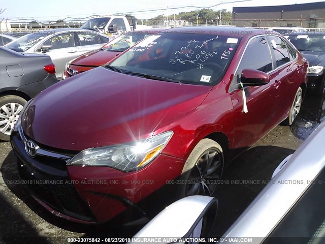 4T1BF1FK6FU916488 - 2015 TOYOTA CAMRY LE/XLE/SE/XSE 红色 照片 2