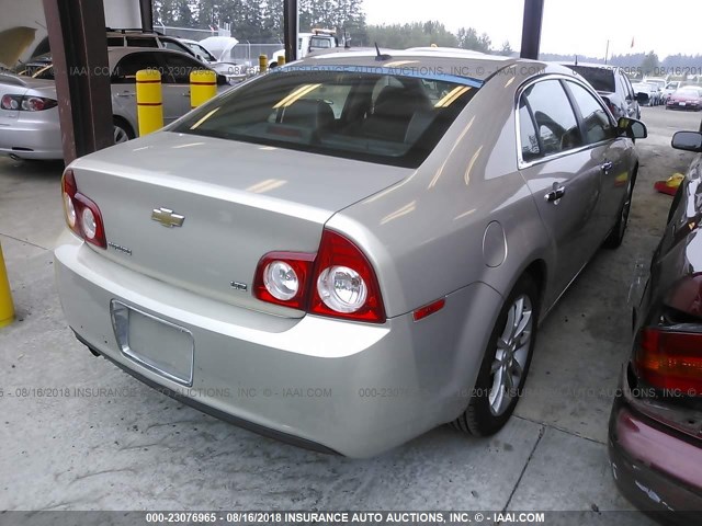 1G1ZK57B59F147276 - 2009 CHEVROLET MALIBU LTZ 金色 照片 4
