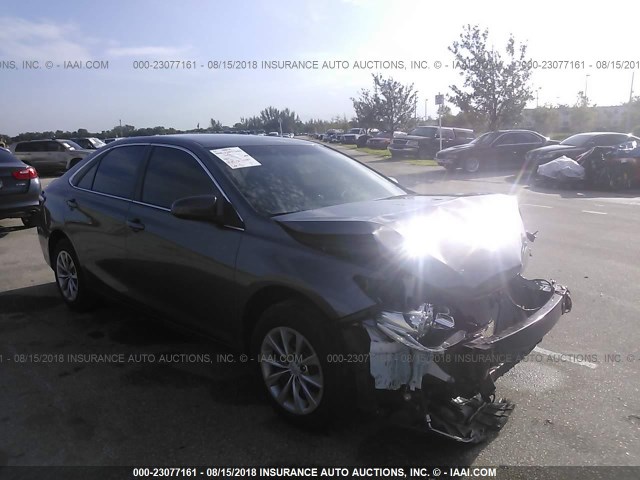 4T1BF1FK0HU380995 - 2017 TOYOTA CAMRY LE/XLE/SE/XSE GRAY photo 1