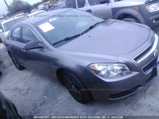 1G1ZB5E11BF149851 - 2011 CHEVROLET MALIBU LS Qəhvəyi foto 1