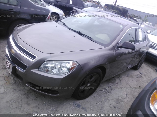 1G1ZB5E11BF149851 - 2011 CHEVROLET MALIBU LS Qəhvəyi foto 2