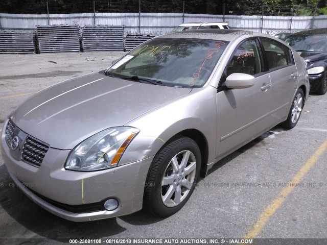 1N4BA41E26C815580 - 2006 NISSAN MAXIMA SE/SL Altın fotoğraf 2