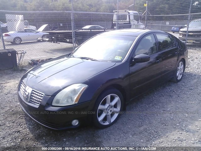 1N4BA41E44C841594 - 2004 NISSAN MAXIMA SE/SL BLACK photo 2