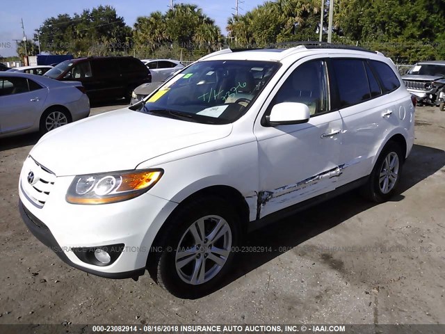 5NMSK4AG6AH368321 - 2010 HYUNDAI SANTA FE LIMITED WHITE photo 2