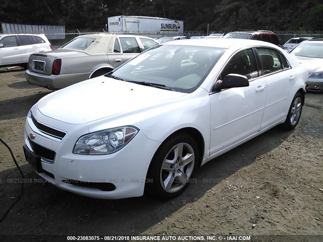 1G1ZB5E1XBF291809 - 2011 CHEVROLET MALIBU LS Ağ foto 2