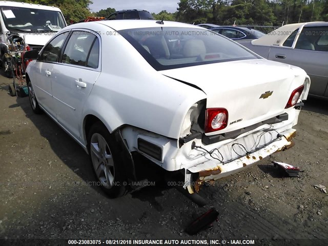 1G1ZB5E1XBF291809 - 2011 CHEVROLET MALIBU LS Ağ foto 3