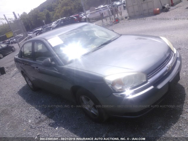 1G1ZT52875F302476 - 2005 CHEVROLET MALIBU LS GRAY photo 1