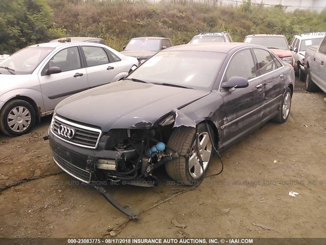 WAULL44E45N009180 - 2005 AUDI A8 4.2 QUATTRO Navy photo 2