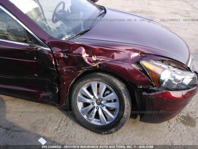 1HGCP2F87BA018155 - 2011 HONDA ACCORD EXL BURGUNDY photo 6