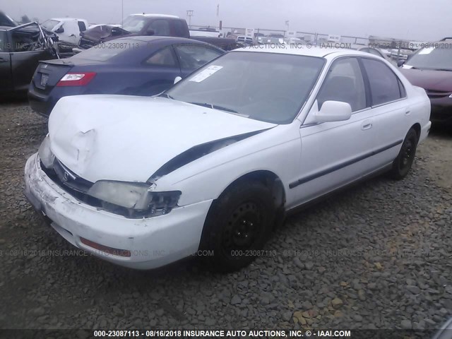 1HGCD5631TA004767 - 1996 HONDA ACCORD LX/EX WHITE photo 2