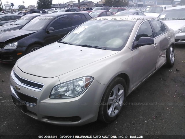 1G1ZB5E12BF107897 - 2011 CHEVROLET MALIBU LS Qəhvəyi foto 2
