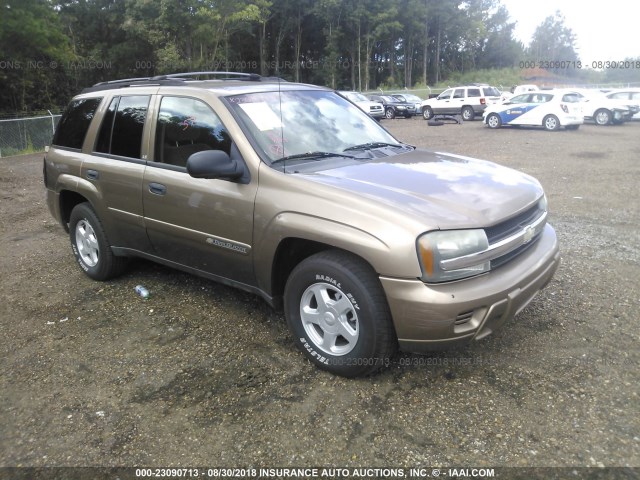 1GNDS13S622429107 - 2002 CHEVROLET TRAILBLAZER  BROWN photo 1