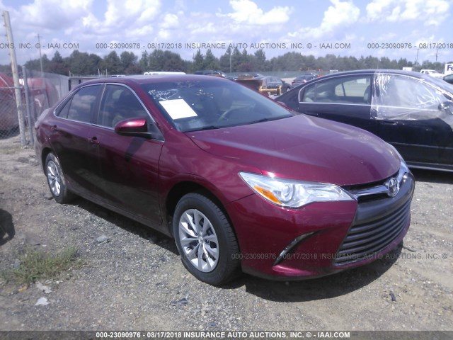 4T1BF1FK8GU512562 - 2016 TOYOTA CAMRY LE/XLE/SE/XSE MAROON photo 1