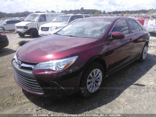4T1BF1FK8GU512562 - 2016 TOYOTA CAMRY LE/XLE/SE/XSE MAROON photo 2