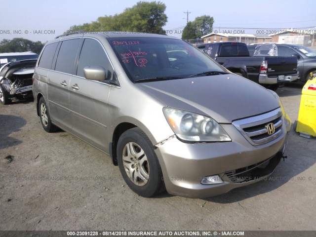 5FNRL38675B017749 - 2005 HONDA ODYSSEY EXL GOLD photo 1