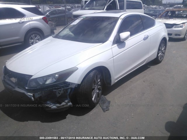 1HGCS2B87AA005795 - 2010 HONDA ACCORD EXL WHITE photo 2