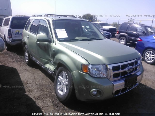 1FMCU59H58KE68874 - 2008 FORD ESCAPE HEV GREEN photo 1