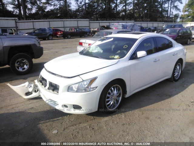 1N4AA5AP7EC454381 - 2014 NISSAN MAXIMA S/SV WHITE photo 2