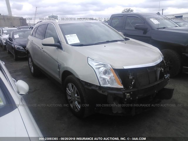 3GYFNDE34CS518559 - 2012 CADILLAC SRX LUXURY COLLECTION CREAM photo 1