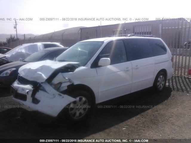 5FNRL18964B082606 - 2004 HONDA ODYSSEY EXL WHITE photo 2