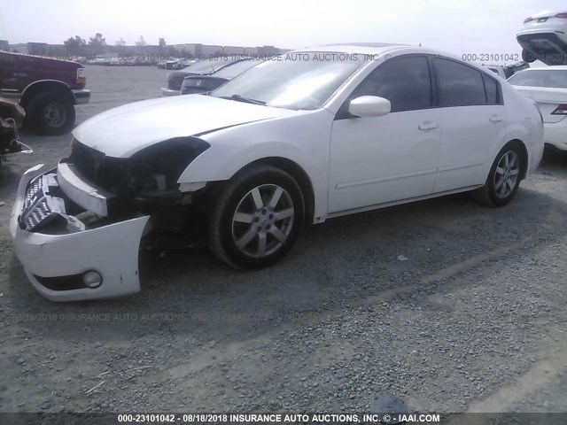 1N4BA41E46C844062 - 2006 NISSAN MAXIMA SE/SL WHITE photo 2