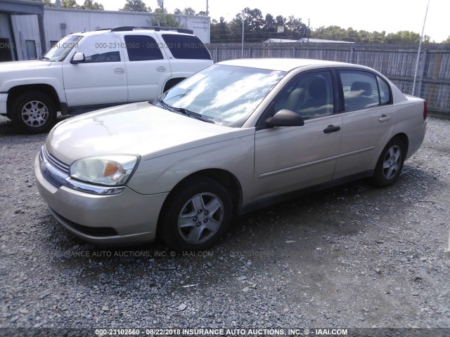 1G1ZT52804F146747 - 2004 CHEVROLET MALIBU LS Bej foto 2